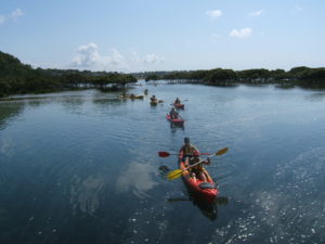 Beach Kayak Tour @ Bundeena Kayaks